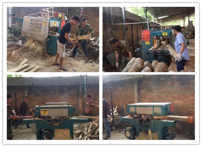 南海三亞--雙排鏈原木多片鋸、簡易板式多片鋸工作圖