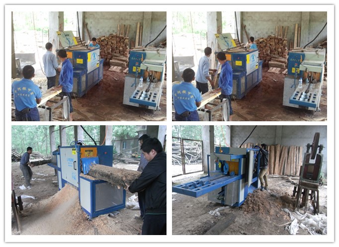 湖南岳陽--原木多片鋸、方木多片鋸工作圖