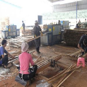 海南島-方木多片鋸加工現場