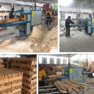 原木多片鋸-圓木多片鋸-200型廣西-桂林-西江鎮加工現場2