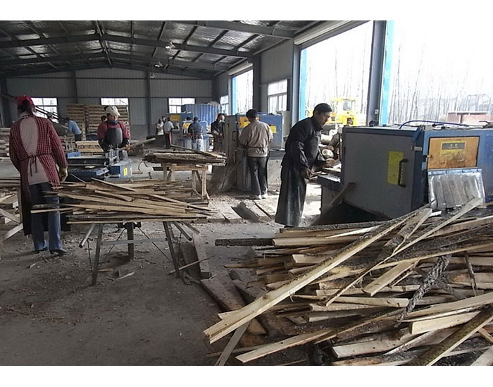江蘇省-淮安市-楚洲區-25圓木機15方木機加工現場