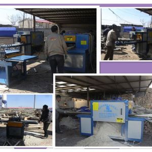 秦皇島-250原木多片鋸-方木150高多片鋸加工現場1