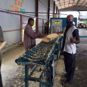 全自動多片鋸生產線在斯里蘭卡客戶現場