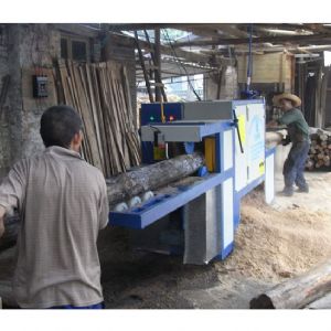 韶關樂昌城200圓木多片鋸加工現場